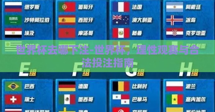 世界杯去哪下注-世界杯，理性观赛与合法投注指南