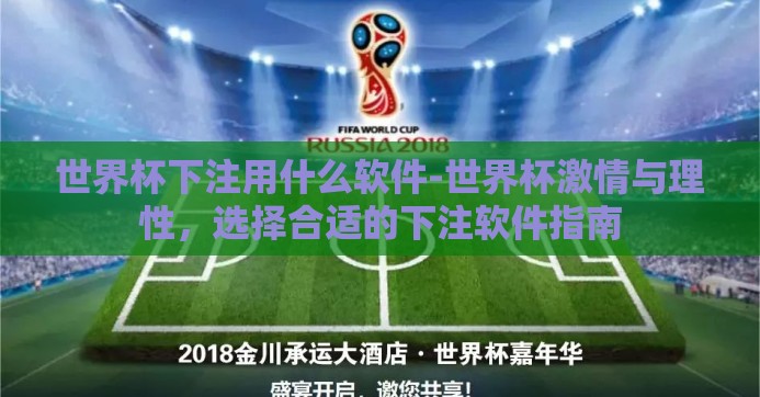 世界杯下注用什么软件-世界杯激情与理性，选择合适的下注软件指南