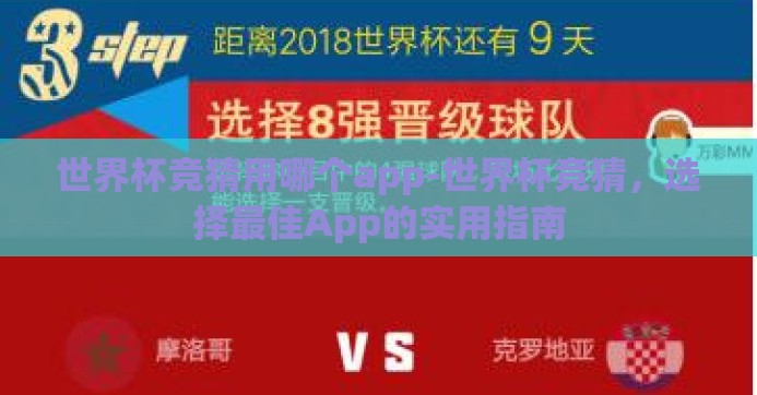 世界杯竞猜用哪个app-世界杯竞猜，选择最佳App的实用指南