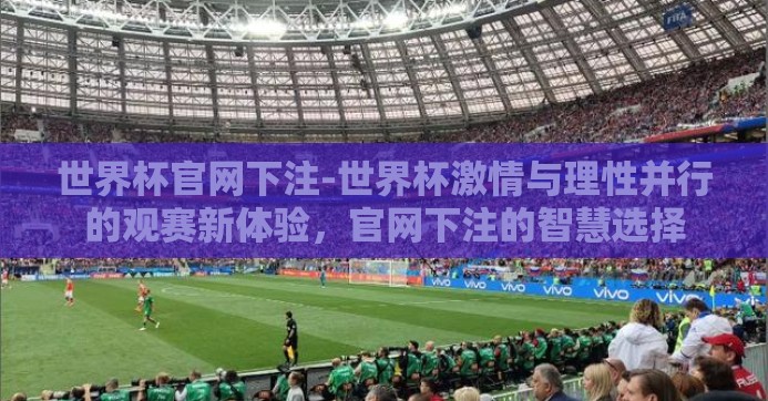 世界杯官网下注-世界杯激情与理性并行的观赛新体验，官网下注的智慧选择