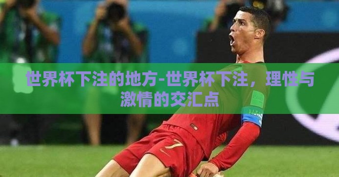 世界杯下注的地方-世界杯下注，理性与激情的交汇点