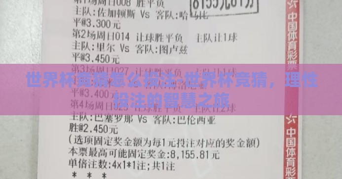 世界杯竞猜怎么投注-世界杯竞猜，理性投注的智慧之旅